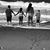 Julie Hayes Sartore's profile image