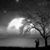 Heather Peters's profile image