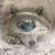 Dawn Price's profile image