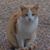 Paul S. Hyman's profile image