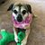 Marilyn Fegley's profile image