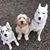 Lynda Easterly Hale's profile image