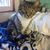 Leda Rose Windisch's profile image