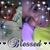Angie Klingshirn-Laugherty's profile image
