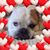 Angela Gale Ashton's profile image