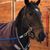 Darlajean Gilbert's profile image