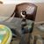 Harlie Cat's profile image