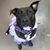 Sian Brown's profile image