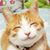 Cheryl Yauch's profile image