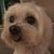 Dee Covello's profile image