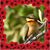 Garry Wilkinson's profile image