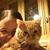 Nicky Bennett's profile image