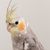Wendy Marick Gross's profile image
