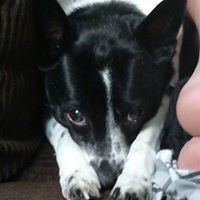 Donna Marie Barchman's profile image