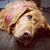 Kate Exner's profile image