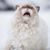 Janet Higginson's profile image