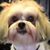Lori Mayes Montgomery's profile image