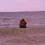 Fred Sandi Hayes's profile image
