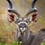 Jeff Birgbauer's profile image