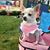 Tanya Harris-Stevens's profile image