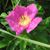 Judi Dunbar's profile image