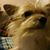 Cheryl N Bob's profile image