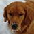 Tammy Houchen's profile image