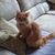 Janie Raper's profile image