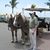 Joe Furey's profile image