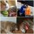 Kate Korb Rubarth's profile image