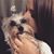 Laurie De La Torre's profile image