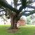 Margie Haralson's profile image