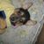 Valentina Alvarez's profile image