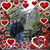 Tammy Hamilton's profile image