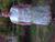 carolyn e.'s profile image
