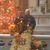Linda Liggett Schwartz's profile image