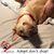 Christy Turner Hannon's profile image