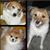 Terri Farrington's profile image