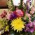 Sawsan Asfour's profile image