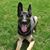 Tracy Heenan-Christian's profile image