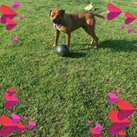 Sheryl Coblentz's profile image