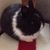 YI Huang's profile image