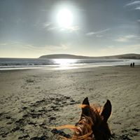 CoRena Rose's profile image