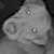 Christopher Smith's profile image