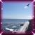 Alma Martinez's profile image