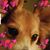 Ellen Farmer's profile image