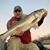Peter Liebermann's profile image