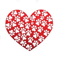 Vickie Hill Gierke's profile image