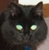 Julia B.'s profile image