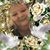 Paula Gossett Cooley's profile image
